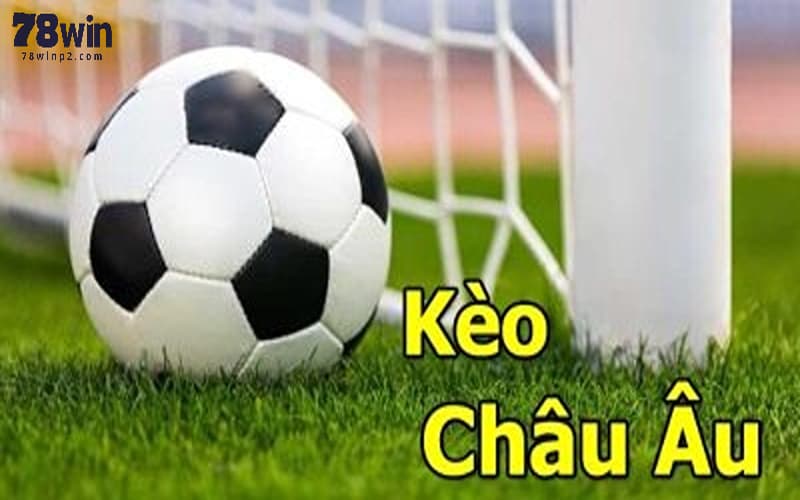 Hướng dẫn chi tiết cách đặt cửa kèo châu Âu